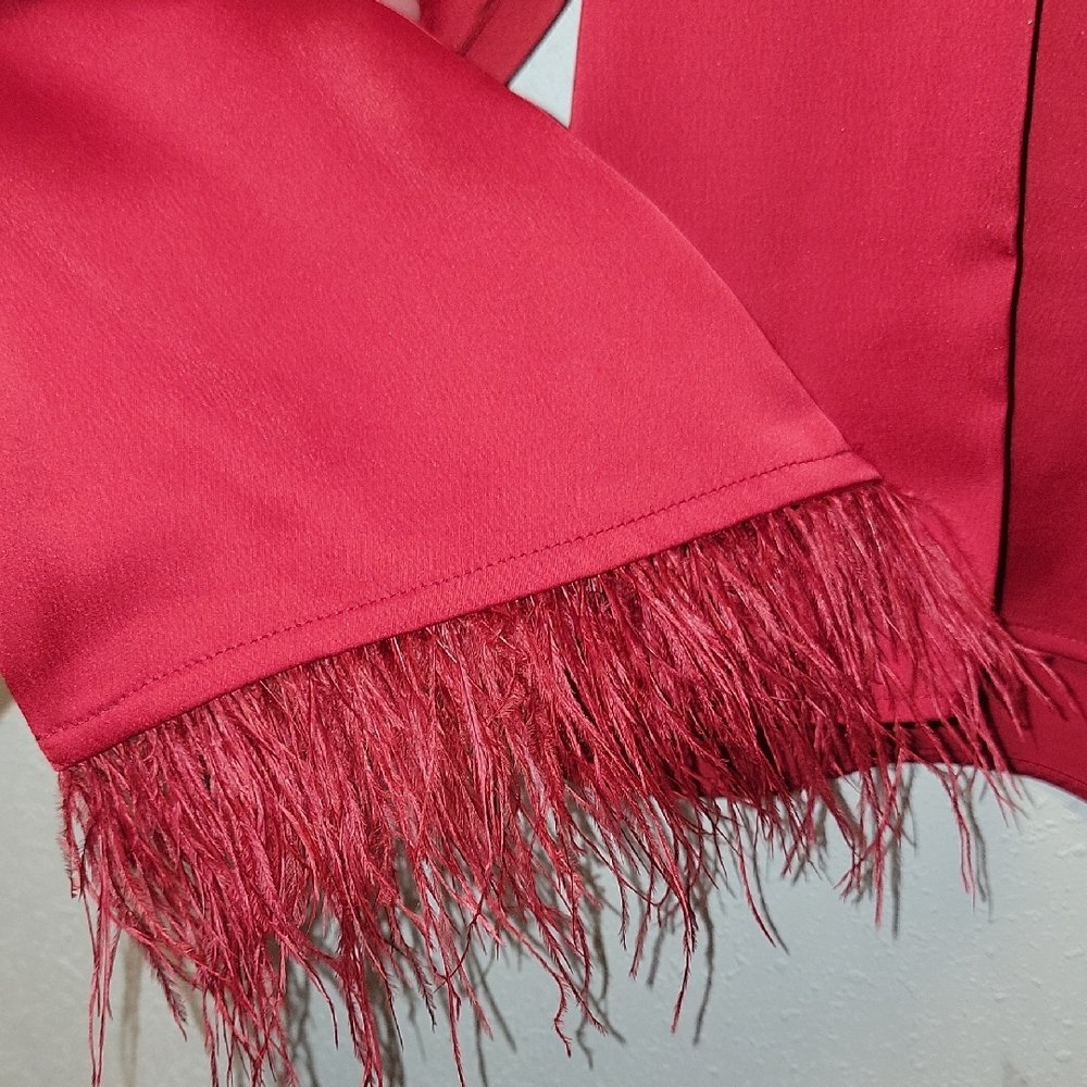 Wayf Red Crop Blouse with Embellished Bell Sleeves Sz M NWT - Picture 4 of 8